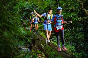 BIB: 606
                            <button type="button" onclick="openModal(18922319)" class="btn btn-primary btn-sm float-right btn-popup" data-toggle="modal" data-target=".modal-high-quality">
                        <i class="fas fa-shopping-cart"></i> Add to Cart
                    </button>
                                            <button type="button" onclick="isThisMe(18922319, true)" class="btn btn-success btn-sm float-right btn-popup btn-isme hidden" data-toggle="tooltip" data-placement="bottom" title="นี่คือรูปของคุณใช่ไหม คลิกที่นี่เพื่อเอาเข้าอัลบั้ม">
                        <i class="fas fa-plus"></i> Add to album
                    </button>
                    <button type="button" onclick="isThisMe(18922319, false)" class="btn btn-warning btn-sm float-right btn-popup btn-isnotme hidden">
                        <i class="fas fa-ban"></i> Remove from album
                    </button>